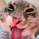 emoji_30 custom emote - 𝐌𝐨𝐧𝐧𝐢𝐞 𝐇𝐨𝐮𝐬𝐞🍓🌷