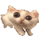 281_catscared animated GIF emoji | Rabbit Hole