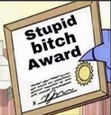 A framed certificate with the text Stupid Bitch Award written in bold black letters.