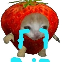 MGO_CryStrawberryCat Discord Emoji | West 187 Network