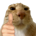 115928catgoodjob custom emote | Ride A Pet | Stock, Prediction, Notifier, Trading, Values | Codes, Updates, Events, Leaks, Guides