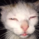 emoji_14 Discord Emoji from Vortex Gaming