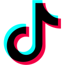 Tiktok custom emote - Shulkercraft
