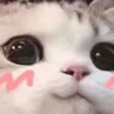 cute_cat animated GIF emoji from Steal An Egg | Egg Notifier