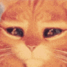 emoji_32 animated Discord emote | DTFC - THE CONVENANT