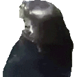 seal animated emote - The Lumberyard™