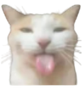 SillyCat Discord sticker | BRP | Border Roleplay