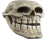 trollskull Discord sticker | Autism Mansion
