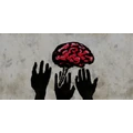 Flag_brain_co Discord Emoji from Odyssey