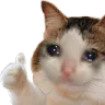 catliked2 Discord Emoji | Study Space