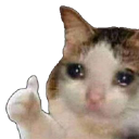 SadCatThumbsUp Discord Emoji | Besties Community