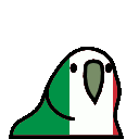 A parrot with the colors of the Italian flag bobbing its head rhythmically.