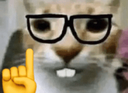 1685nerd custom emote from Finn's Friendlings