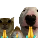 animalspraying Discord sticker - Hejteri CODM