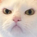 zlo Discord Emoji from ✨КиберЛапки🎮