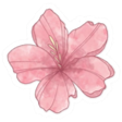 flower Discord sticker - Heart.exe