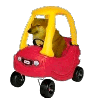 DogeKidCar animated GIF emoji | Vortex Gaming