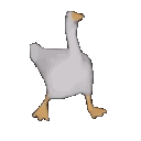 6542_DuckDance animated emote - It's - Hoppy Room 💐🌷