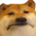 emoji_28 custom emote - ℙ𝕆ℤ𝔸 𝕂𝕆ℕ𝕋ℝ𝕆𝕃𝔸̨