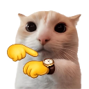 A cat with wide eyes pointing at a wristwatch on its arm.