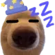 dogsleep Discord sticker from Reality Awaits