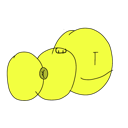 verity custom emote | el dank bois only