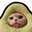 catlick Discord sticker | ⁽¹⁸⁺⁾ miao ୨ৎ