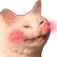 cattoblush Discord sticker from Động Ếch Của Nhi Elly
