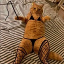 An orange cat wearing a black bikini and fishnet stockings holds a whip while lying on a bed.