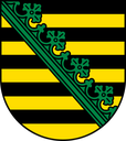 Coat of arms of Saxony featuring yellow and black horizontal stripes with a green diagonal crown band.