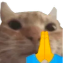 cat_pray Discord Emoji | Italian Mapping's Planet
