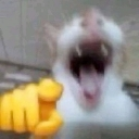 cathaivai Discord Emoji - 𝘙𝘌𝘈𝘓𝘐𝘛𝘠 𝘈𝘞𝘈𝘐𝘛𝘚... but after 24.7