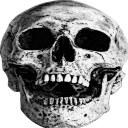 skull custom emote | 𝗜𝗿𝗮𝗾𝗶 𝗛𝘂𝗯 (𝚅𝚊𝚜𝚜𝚊𝚕 𝚘𝚏 𝙰.𝙳.𝙰)