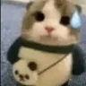 scaredcat custom emote | MoneyHubOnline