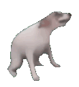 emoji_1783077493575 animated emote | Vortex Gaming