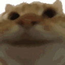 yes animated Discord emote from yoniland ₓ˚ 🍃 ୭