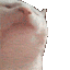 1551catjamfasterthanever animated emote - Playhouse SMP