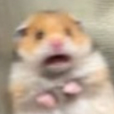 shocki Discord Emoji - Rᴇʙɪʀᴛʜ Dᴇʟɪᴄᴀᴄɪᴇꜱ | Explore New World