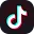 tiktok Discord Emoji | Roles and Permissions