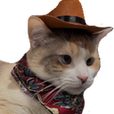 A calico cat wearing a brown cowboy hat and a red patterned bandana.