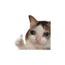 430564ok Discord Emoji from A2Cloud Best Free & Paid Hosting