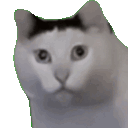 huh animated emote from KALLROULETTE COMMUNITY