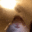emoji_173 animated Discord emote - 𝗕𝗼𝗮𝘆𝗲𝗱𝗵 𝗙𝗮𝗺𝗶𝗹𝘆