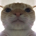 swagcat custom emote from ★ Asteri ★