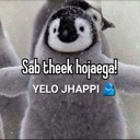 A baby penguin looking directly at the camera with text overlay saying Sab theek hojayega YELO JHAPPI.