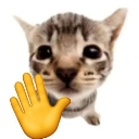 hewohaii Discord Emoji - Goober N' Chill 🐌