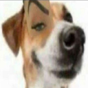 FakeNitroEmoji Discord Emoji from Russian language and culture learning