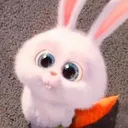rabbit_look Discord Emoji - Tathastu