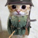 soildercat custom emote - 𝓣𝓱𝓮 𝓛𝓞𝓤𝓝𝓖𝓔