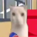 A low-resolution white cat eating a bag of chips with a blank expression.